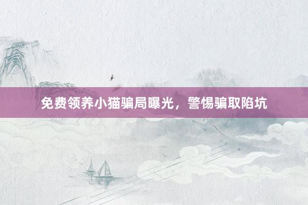 免费领养小猫骗局曝光，警惕骗取陷坑